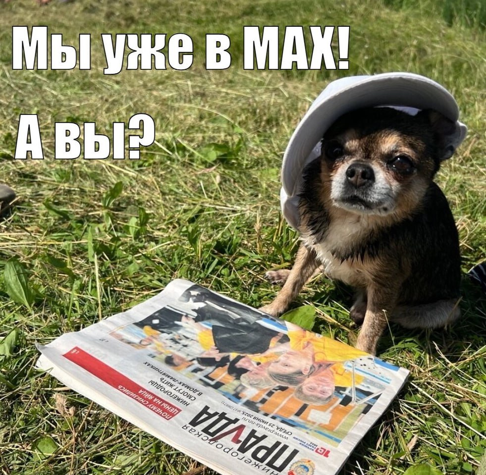 «Нижегородская правда» запустила канал в мессенджере MAX
