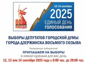 В Дзержинске стартовали выборы депутатов городской Думы VIII созыва