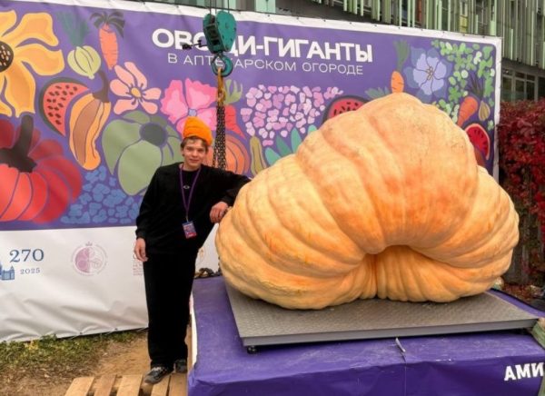 Нижегородский школьник поучаствовал в конкурсе по самому крупному урожаю