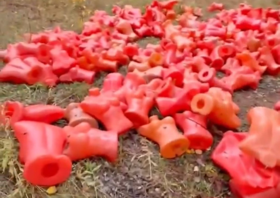 Выброшенные в борском лесу манекены отправят в зону СВО для тренировок бойцов