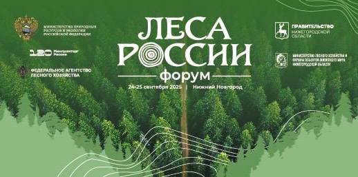В Нижнем Новгороде пройдет Всероссийский форум «Леса России»