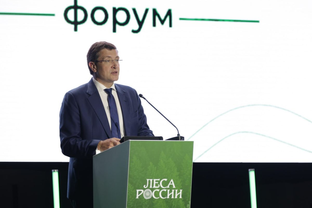 Итоги работы лесного хозяйства подводят на всероссийском форуме «Леса России»