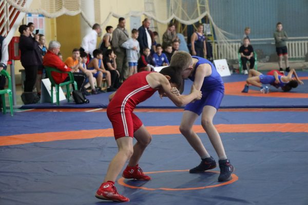 Всероссийский фестиваль по спортивной борьбе прошел в Нижнем Новгороде