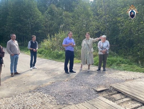 Бастрыкину доложат о разрушающемся автомобильном мосте в Нижегородской области