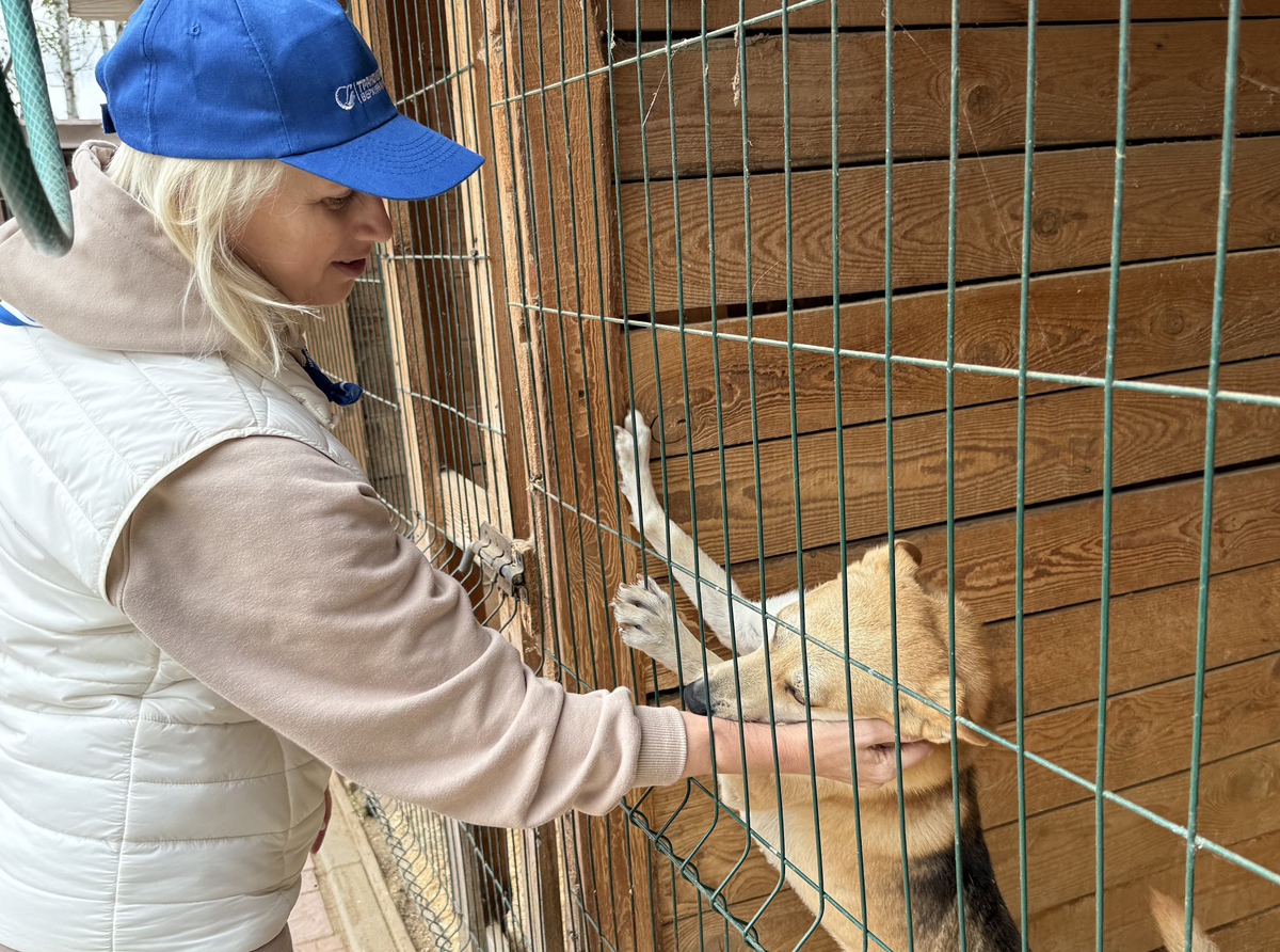 Молодые специалисты не только передали груз, но и подарили животным внимание