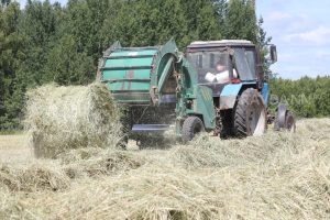 Приметы на 10 сентября: что можно и чего нельзя делать в этот&nbsp;день