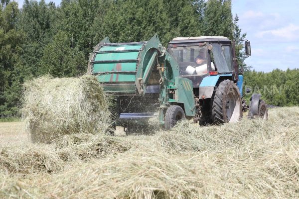 Приметы на 10 сентября: что можно и чего нельзя делать в этот день