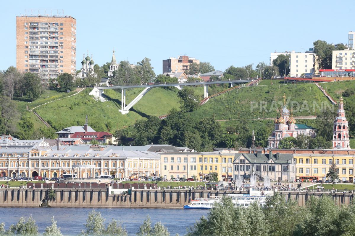 "Дома-убийцы" поджидают птиц на каждом шагу