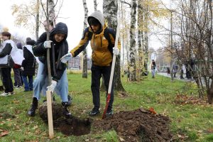 Более двух тысяч деревьев и кустарников высадят в Нижнем Новгороде до конца&nbsp;года