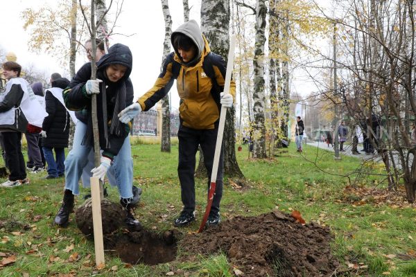 Более двух тысяч деревьев и кустарников высадят в Нижнем Новгороде до конца года