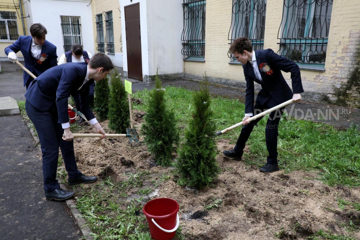 70 млн деревьев высадят в России в рамках акции «Сохраним лес»