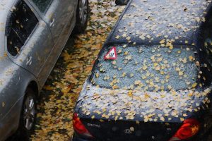 Мокрый снег может прийти с ливнями в Нижегородскую область в конце сентября