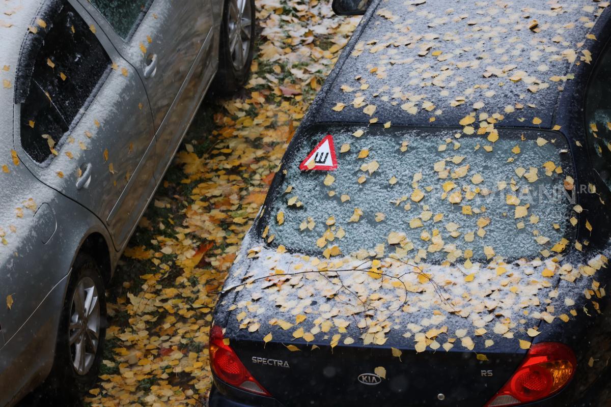 Мокрый снег может прийти с ливнями в Нижегородскую область в конце сентября