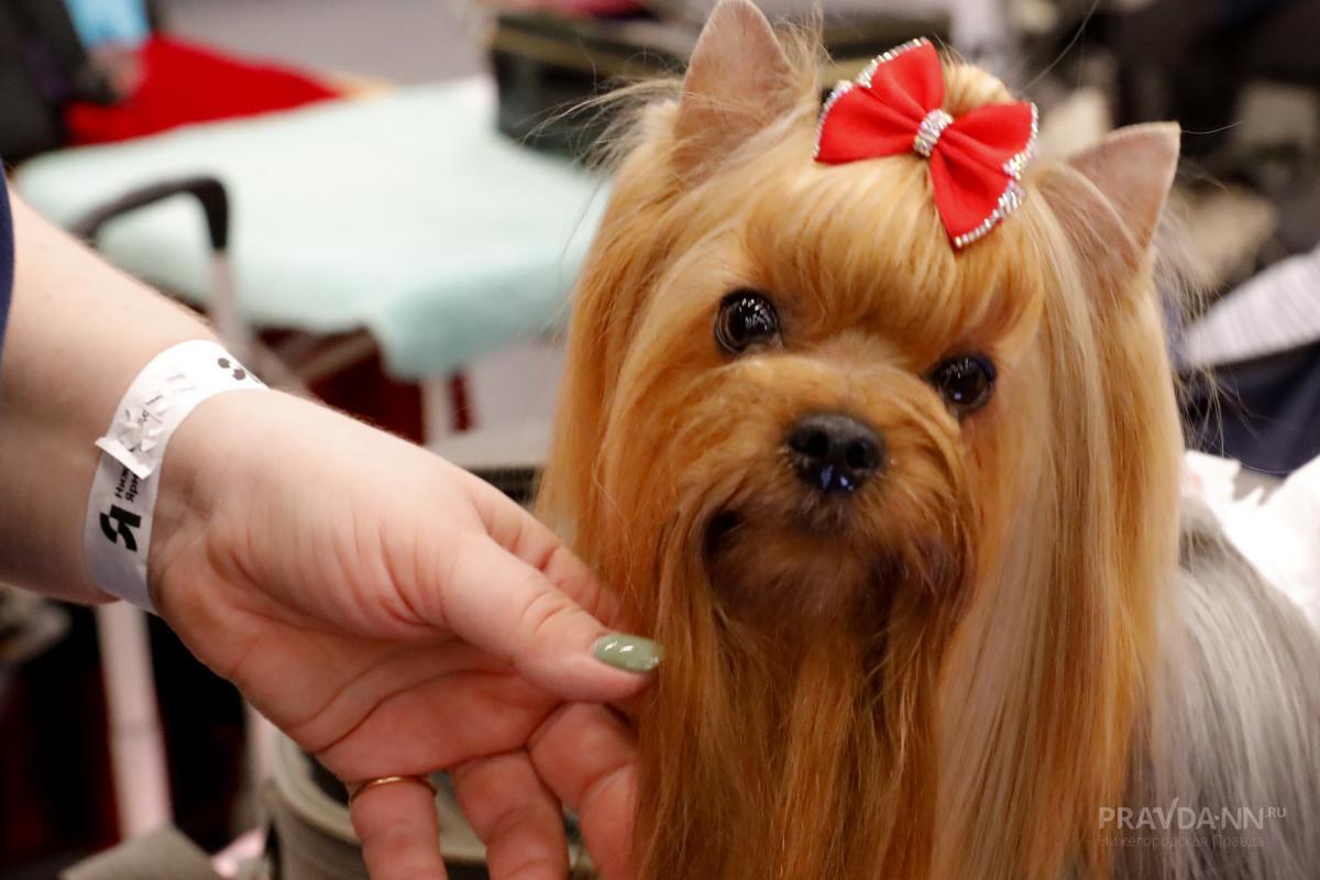 Приметы на 15 сентября: что можно и чего нельзя делать в этот день