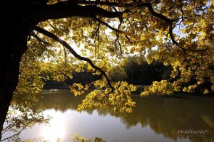 Теплая и солнечная погода продержится до конца недели в Нижнем Новгороде
