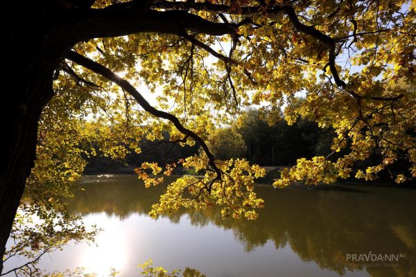 Теплая и солнечная погода продержится до конца недели в Нижнем Новгороде