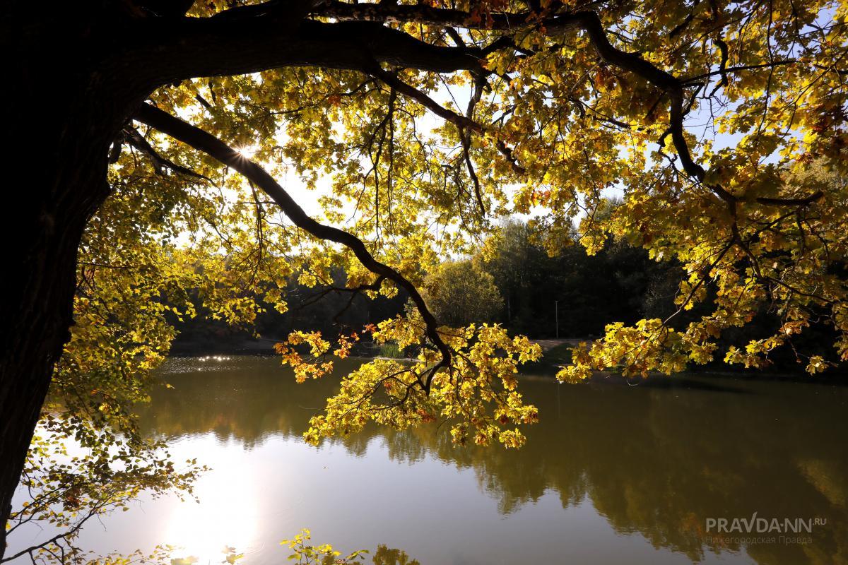 Теплая и солнечная погода продержится до конца недели в Нижнем Новгороде