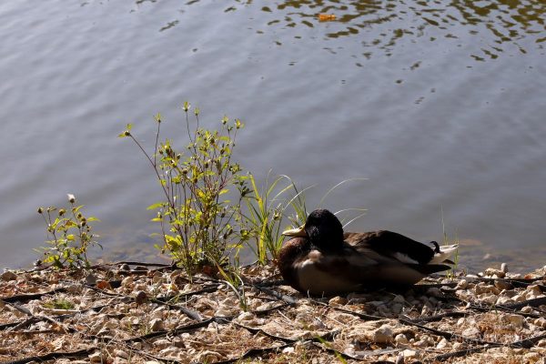 Приметы на 14 сентября: что можно и чего нельзя делать в этот день