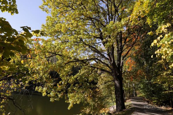 Приметы на 4 сентября: что можно и чего нельзя делать в этот день