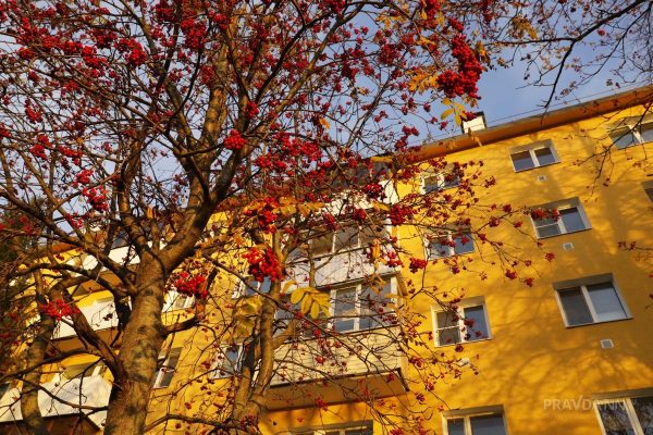 Запашный предложил сделать «Шуфутинов день» официальным праздником в России