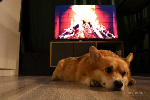 Нижегородским муниципалитетам предложили раньше начинать отопительный сезон