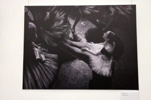 Выставка Алика Якубовича «Город оперы и балета»