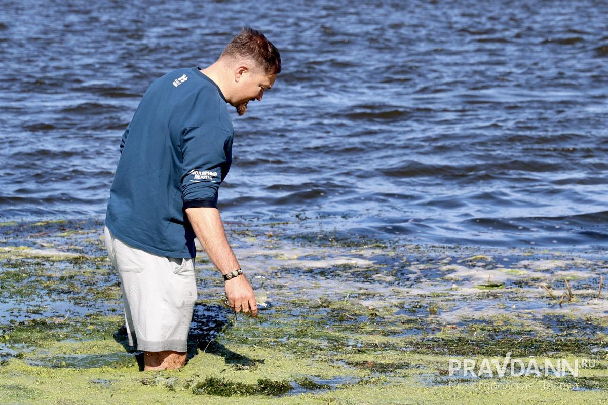 Максим Герасимов