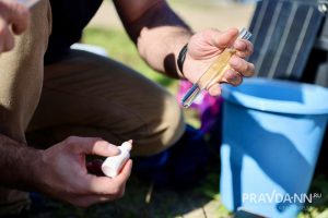 Максим Герасимов