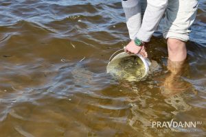 Максим Герасимов