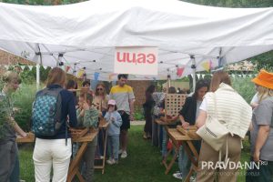 Анастасия Красушкина