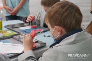 Анастасия Красушкина