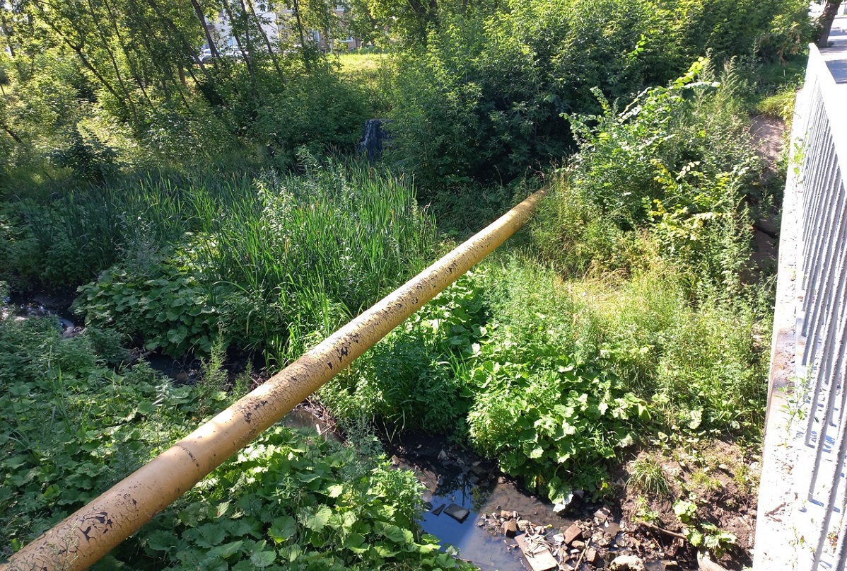 Фонтан для поддержания уровня воды в Борзовке хотят построить в Нижнем Новгороде