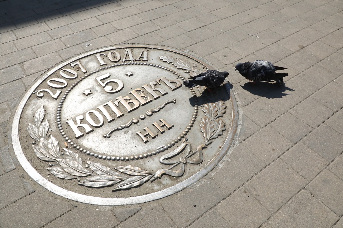 Нижегородцы жалуются, что голуби заполонили общественные территории