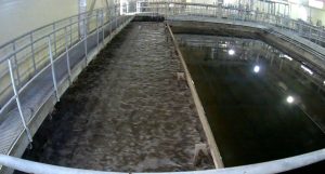 Ворсменский водоканал оштрафовали на 100 000 рублей за неустраненные нарушения