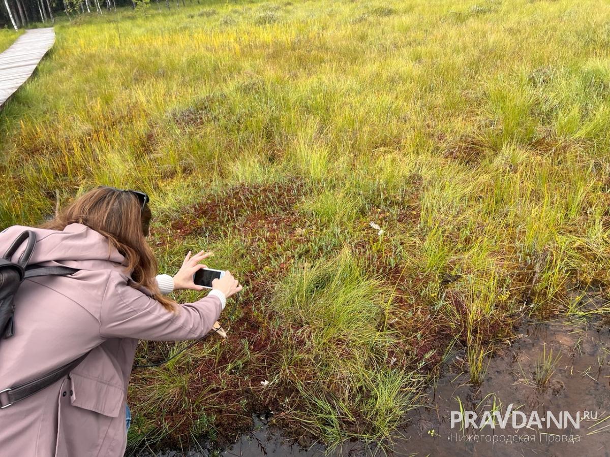 Алина Малинина