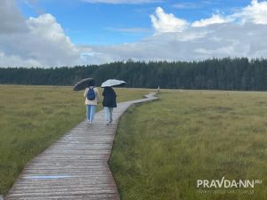 От мхов и болот до «Острова Фортов»: путеводитель по экологическим маршрутам Санкт-Петербурга