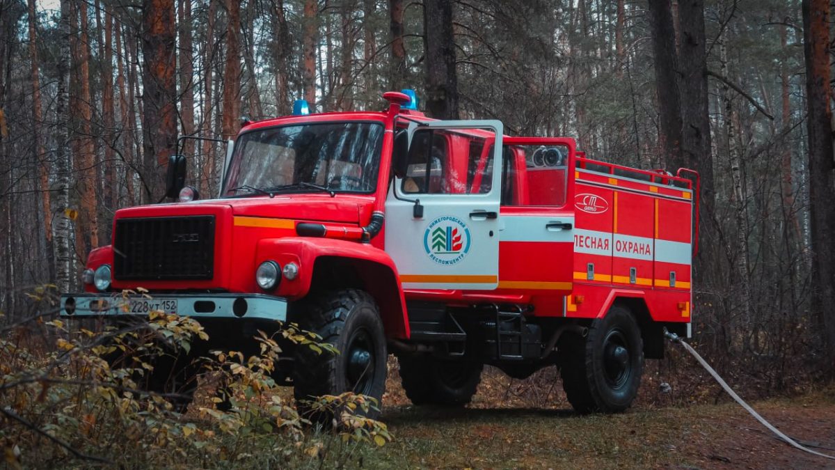 Количество лесных пожаров в Нижегородской области в этом году снизилось на&nbsp;треть