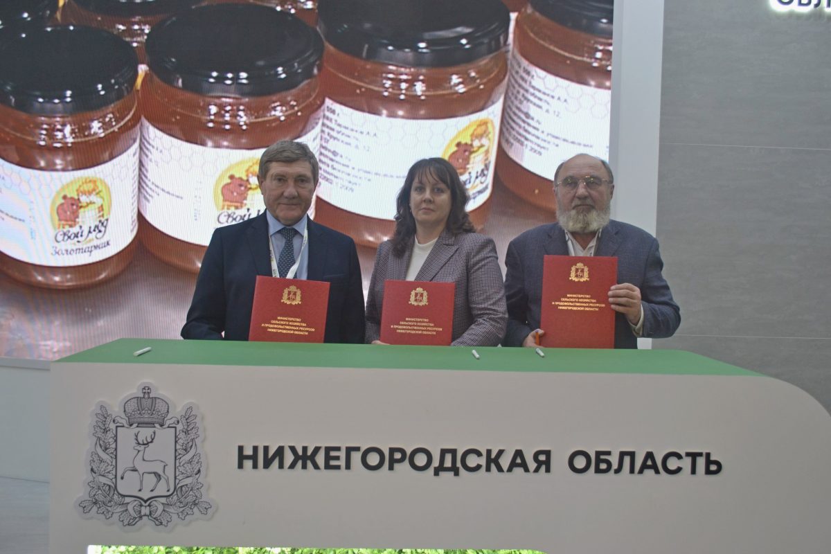 Нижегородская агрофирма планирует построить ферму на 2,4 тысячи голов