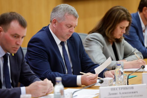 Максим Черкасов представил опыт региона по развитию индустрии детских товаров