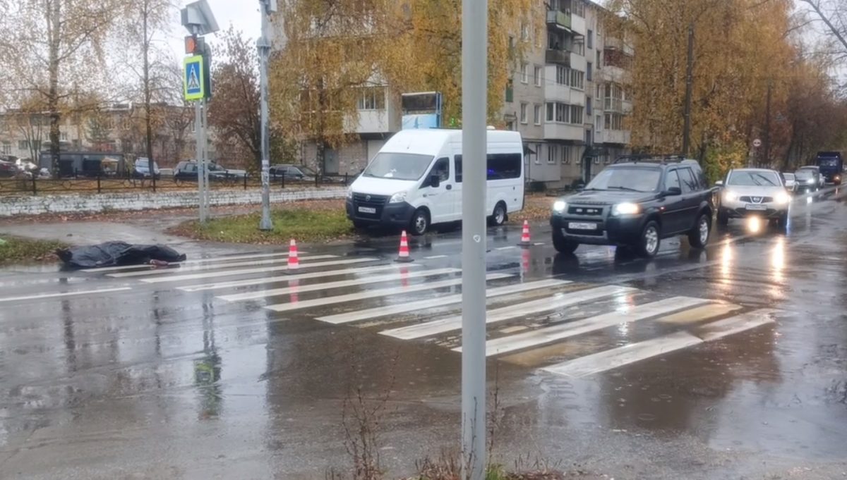 Водитель сбил пенсионерку и оставил ее умирать на дороге в Володарском округе