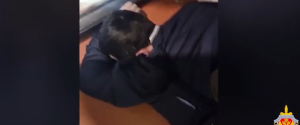 ФСБ поделилась видео задержания пособника террористов в Нижнем Новгороде