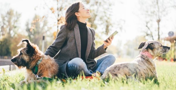 Скорость мобильного интернета выросла на треть в ЖК «Цветы» в Нижнем Новгороде