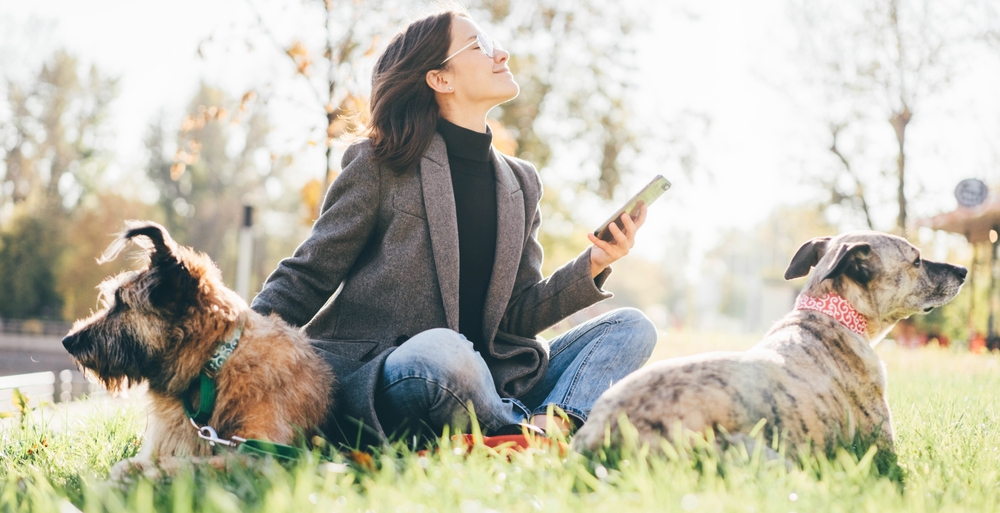 Скорость мобильного интернета выросла на треть в ЖК «Цветы» в Нижнем Новгороде