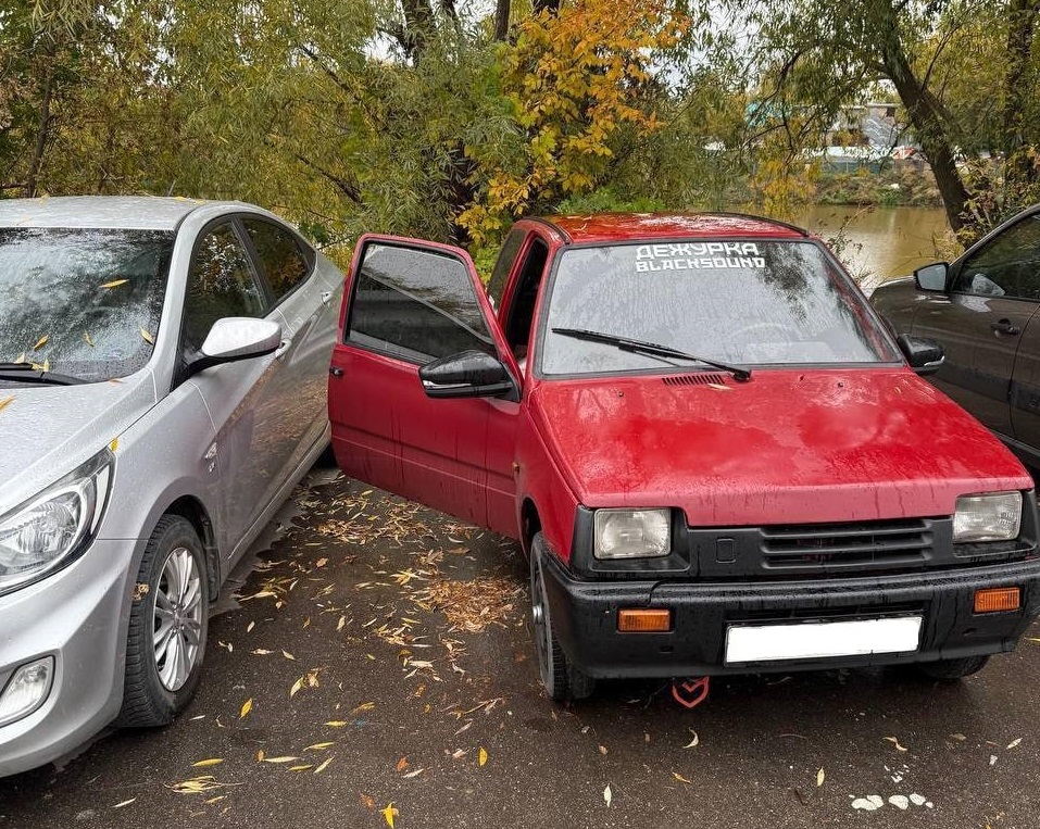 Водителя «Оки» оштрафовали за «шашечки» на проспекте Гагарина