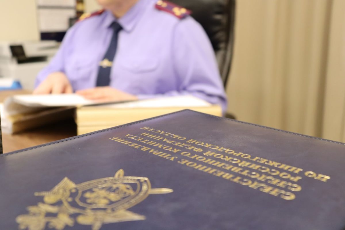 Нижегородец обвиняется в реабилитации нацизма