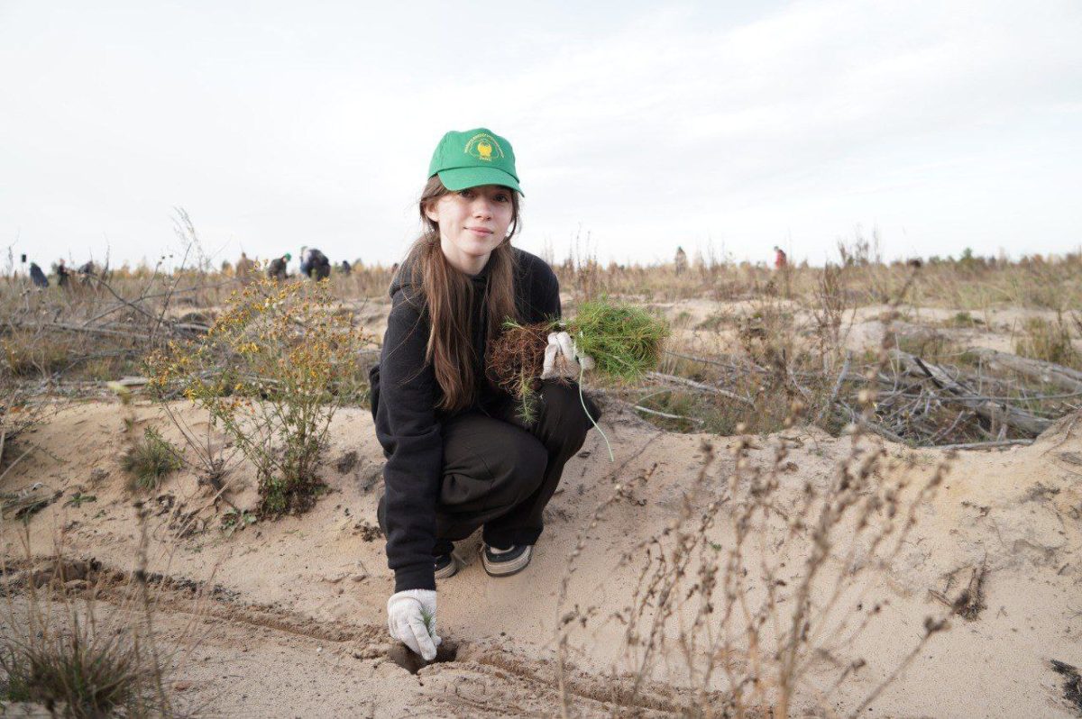 В Дзержинске высадили 5 тысяч двулетних сеянцев сосны