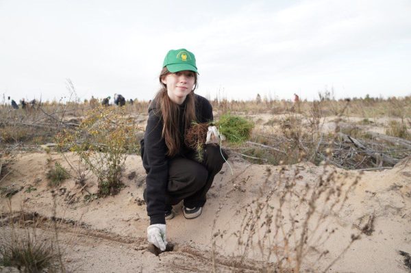В Дзержинске высадили 5 тысяч двулетних сеянцев сосны