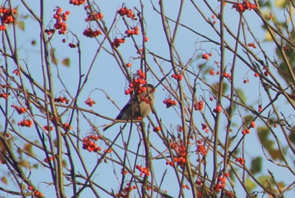 Глубокая осень наступила в Керженском заповеднике