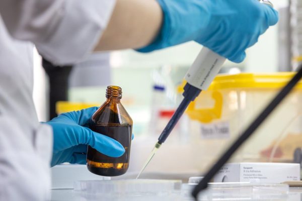 Учёные Университета Лобачевского создали ИИ для диагностики опухолей мозга