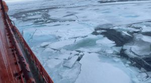 Ульяна Смоленова